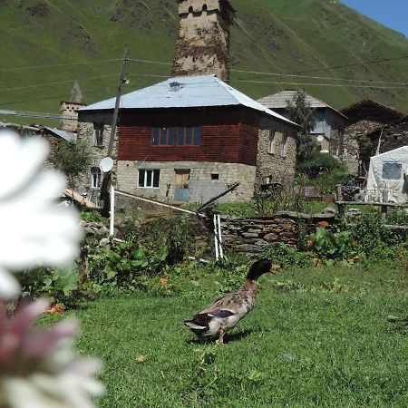 Erasti Guesthouse Ushguli Exteriör bild