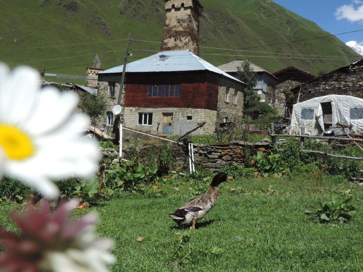 Erasti Guesthouse Ushguli Exteriör bild